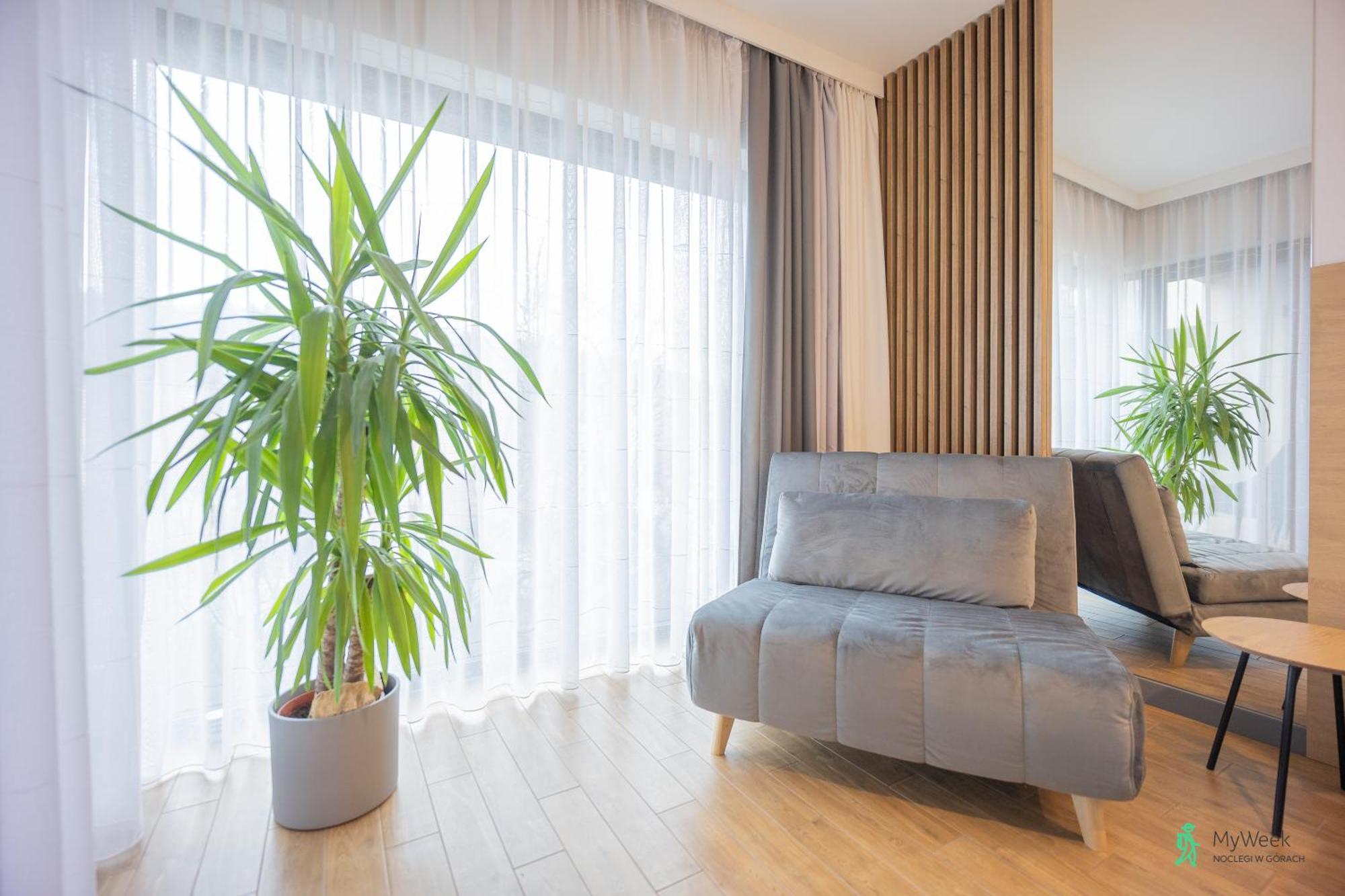 Apartment Mietowy, Ogrody Pieniawskie, Myweek